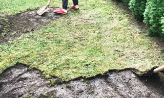 Снятие дерна старого газона в Ртищево – от 529 руб. | 2Землекопа-Ртщ